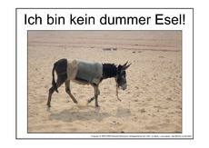 Dummer-Esel-2.pdf